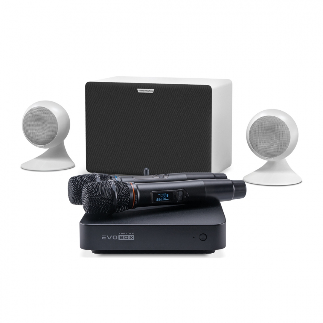 караоке-комплект EVOBOX Classic + EvoSound Sphere 2.1 в Пущино