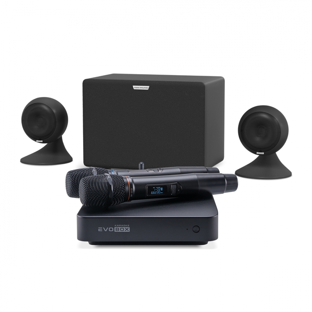 караоке-комплект EVOBOX Plus + EvoSound Sphere 2.1 в Пущино