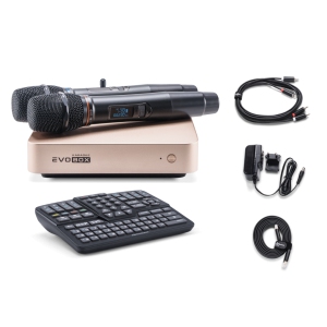 EVOBOX Classic караоке-система для дома в Пущино