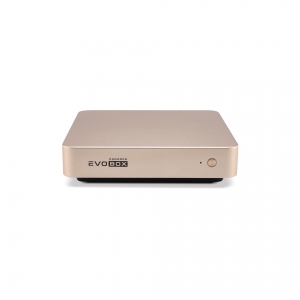 EVOBOX с микрофонами в Пущино