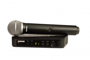 SHURE BLX24E/PG58 M17 вокальная радиосистема в Пущино